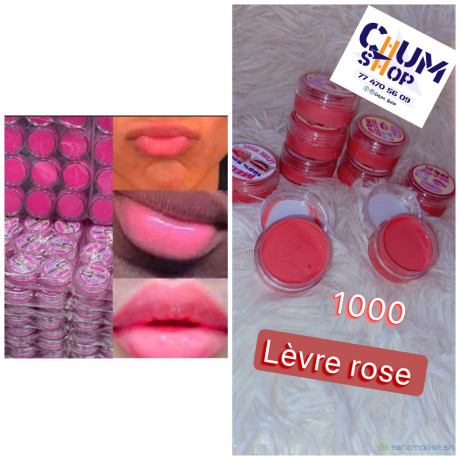 levre-rose-big-0