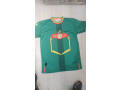 originaux-maillots-small-4