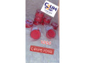 le-levre-rose-small-0