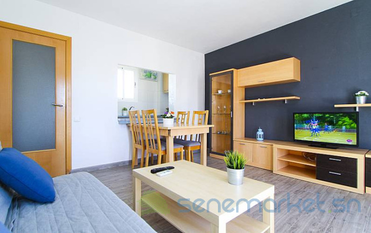 appartement-meuble-a-louer-au-point-e-big-0