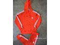 ensemble-pull-small-0