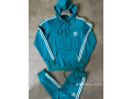 ensemble-pull-small-2