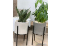 pot-de-fleur-small-1