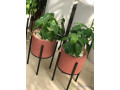 pot-de-fleur-small-2