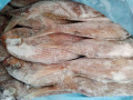 vente-de-poissons-small-2
