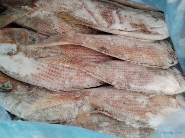 vente-de-poissons-big-1