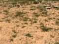 terrain-a-vendre-a-bambilor-small-1