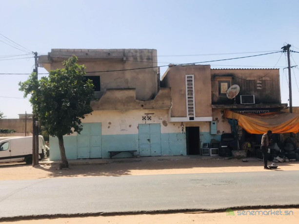 vente-maison-r-1-a-joal-300-m2-big-2