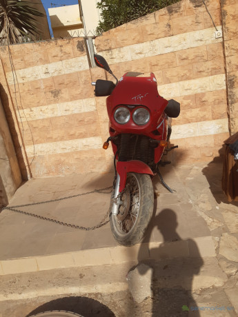 grand-moto-triomphe-tiger-moteur-900-venant-big-2