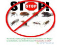 desinsectisation-deratisation-dereptilisation-desinfection-small-1