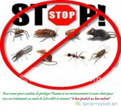desinsectisation-deratisation-dereptilisation-desinfection-big-1