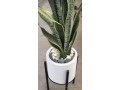 pot-de-fleur-small-4