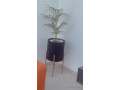 pot-de-fleur-small-2