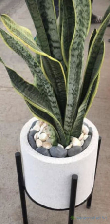 pot-de-fleur-big-4