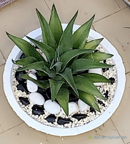 pot-de-fleur-big-0