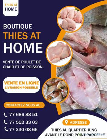 poulets-de-chair-thies-big-0