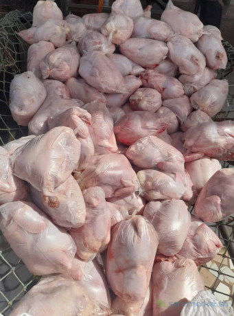 vente-de-poulets-de-chair-big-0