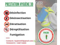 lutte-antiparasitaire-desinsectisation-deratisation-small-1