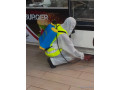 lutte-antiparasitaire-desinsectisation-deratisation-small-4