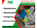 lutte-antiparasitaire-desinsectisation-deratisation-small-0