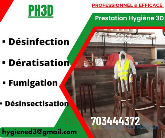 lutte-antiparasitaire-desinsectisation-deratisation-big-2