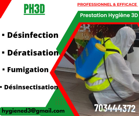 lutte-antiparasitaire-desinsectisation-deratisation-big-0