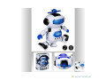 robot-danseur-son-et-lumiere-small-2