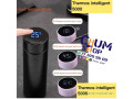 thermos-intelligent-500ml-small-0