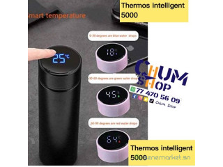 Thermos intelligent 500ml