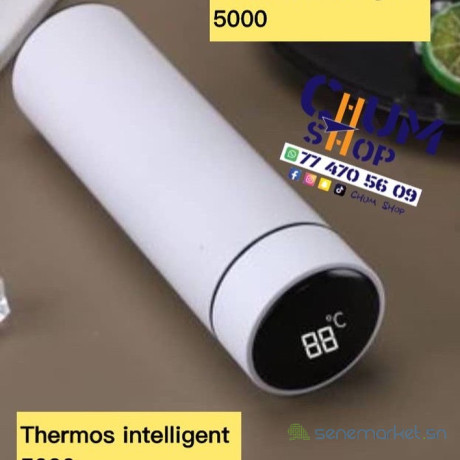 thermos-intelligent-500ml-big-1