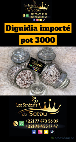 thiouraye-diguidia-importe-big-2