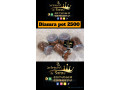 thiouraye-diamra-small-0