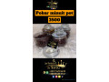 thiouraye-pobar-minuit-small-1