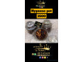 thiouraye-hypnose-small-2