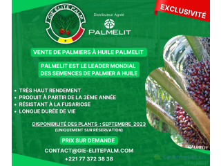 Vente de palmier à huile PalmElit