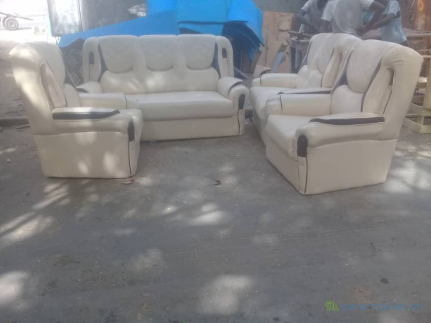 salon-grand-modele-avendre-big-1