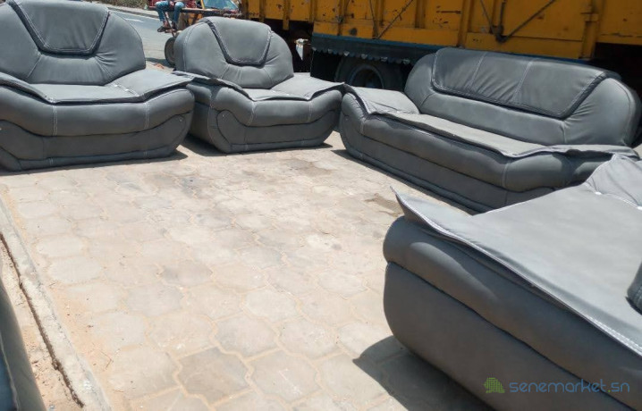salon-grand-modele-avendre-big-2
