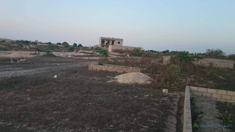 terrains-kounoune2-non-ecole-aliou-sall-big-0