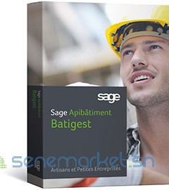 pack-sage-saari-avec-toutes-les-versions-multiposte-et-controle-a-distance-big-2