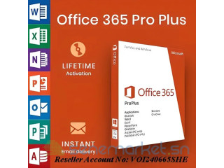 Microsoft office 2019 Professional Plus, MS Project, Microsoft Office 365