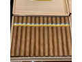 cigares-cubains-cohiba-esplendidos-small-1