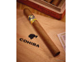 cigares-cubains-cohiba-esplendidos-small-0