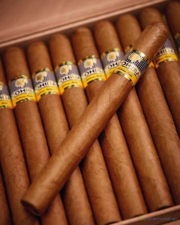 cigares-cubains-cohiba-esplendidos-big-4