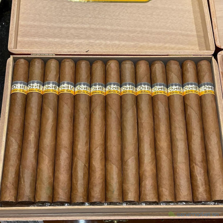 cigares-cubains-cohiba-esplendidos-big-1