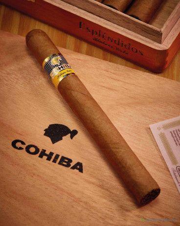 cigares-cubains-cohiba-esplendidos-big-0
