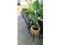 pot-de-fleur-small-1