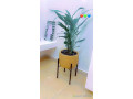 pot-de-fleur-small-2