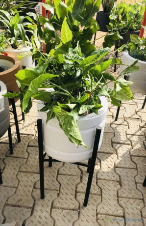 pot-de-fleur-big-0