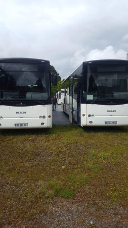 bus-man-big-1