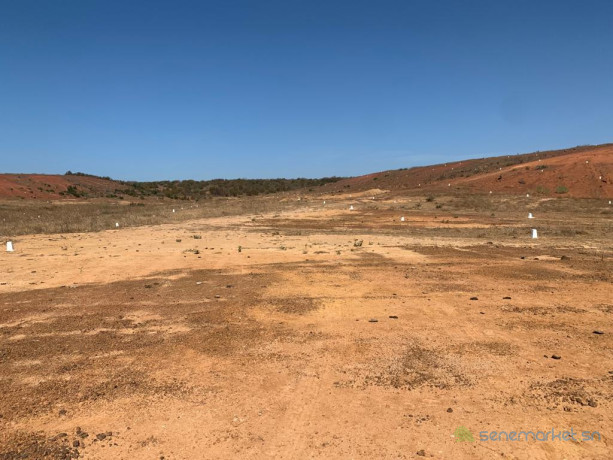 terrains-viabilises-disponibles-a-cote-du-port-de-ndayane-big-2